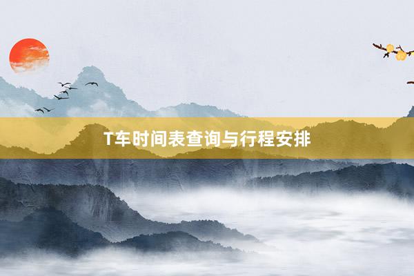 T车时间表查询与行程安排