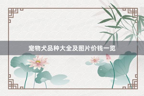 宠物犬品种大全及图片价钱一览