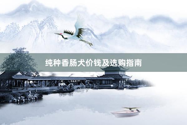 纯种香肠犬价钱及选购指南
